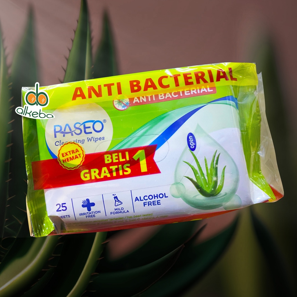 PASEO ANTIBACTERIAL 25 SHEETS