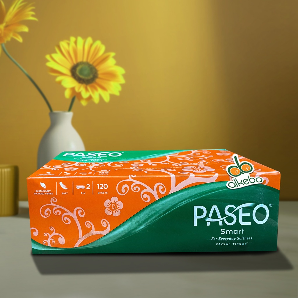 PASEO FACIAL TISSUE SMART BOX 120'S