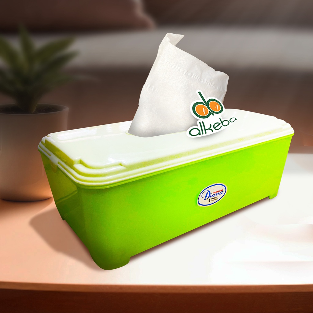 TEMPAT TISSUE FACIAL KOTAK